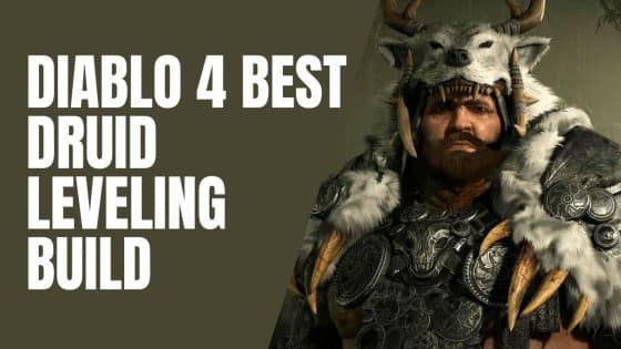 Diablo 4 Best Druid Leveling Build